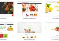 建设水果蔬菜网站_(建设水果蔬菜网站的目的)